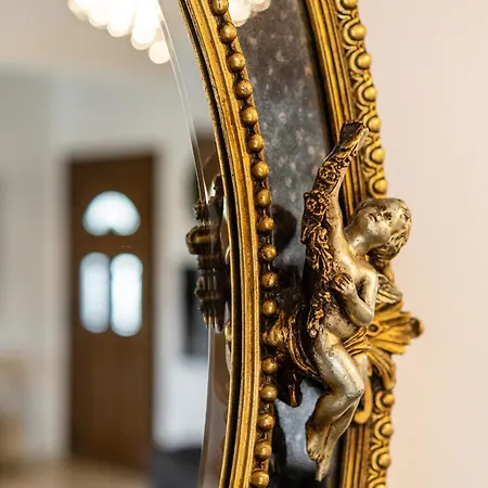 Black Velvet Agkidia