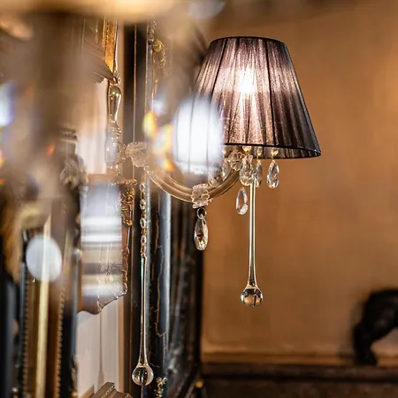 Black Velvet Agkidia