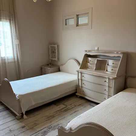 Black Velvet Agkidia