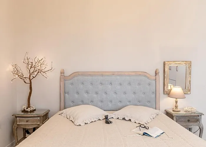 Black Velvet Agkidia