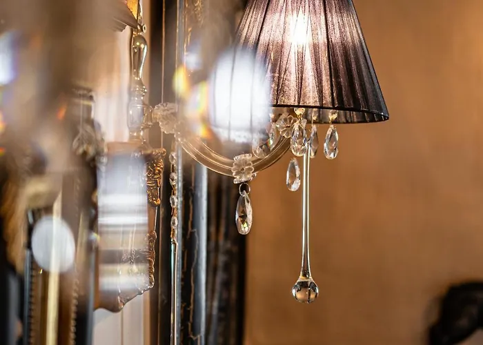 Black Velvet Agkidia