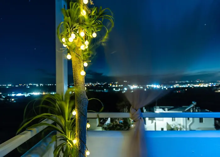 Black Velvet Agkidia