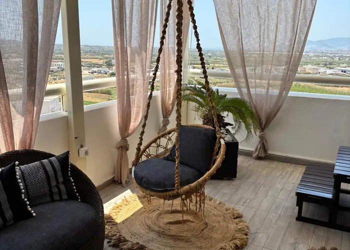 Black Velvet Agkidia