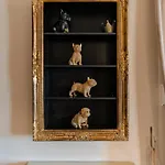 Black Velvet Agkidia