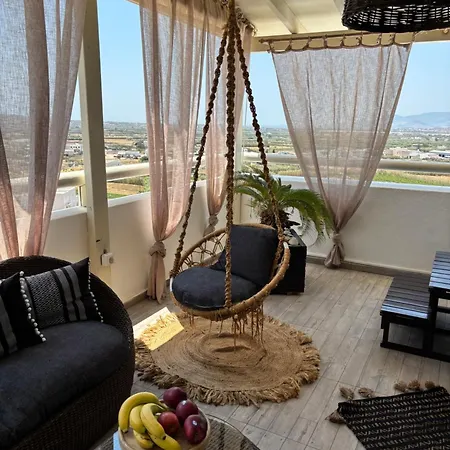 Black Velvet Agkidia